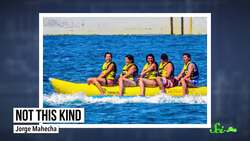 Keeping Bananas Apeelin' Instructional Video