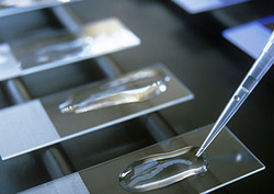 Biochemistry Instructional Video