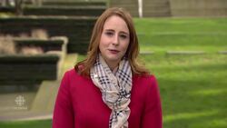 WestJet denies allegations of sex assault coverup News Clip