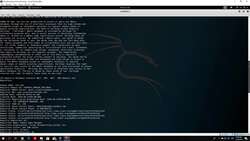 The Complete Ethical Hacking Bootcamp: Beginner To Advanced - Whois Information Gathering Instructional Video