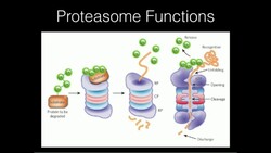 Proteasome Function Instructional Video