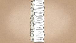 What´s the use of history? CuriosaMente EN #2 Instructional Video