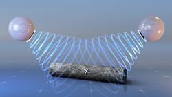 Ozone depletion may have sparked prehistoric extinction event: study Instructional Video