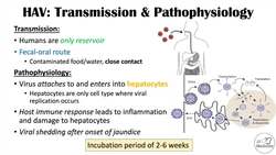 Hepatitis A | Virus, Risk Factors, Pathophysiology, Signs & Symptoms, Diagnosis, Treatment Instructional Video