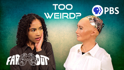 Why Make Humanoid Robots? Instructional Video