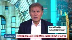 Roubini Says Italy's Too Big to Fail and Too Big to Be Saved News Clip