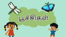 Buzzy Bugs - An Introduction to Insects - Tamil Instructional Video