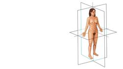 Körperebenen und -achsen Instructional Video