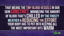 Why Does the Cold Make You Pee? Instructional Video