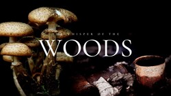 The Whisper of the Woods Instructional Video