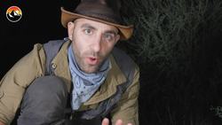 REVENGE of the Centipede - Will it Bite? Instructional Video