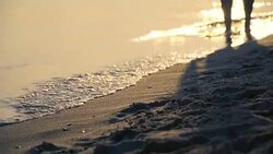 Walking on the Sandy Beach Stock Footage