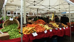 Why Winter Crops Grow Sweeter Instructional Video