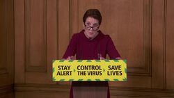 Yvonne Doyle speaks at daily coronavirus briefing News Clip