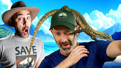 Tug O' War with a Giant Crocodile Instructional Video