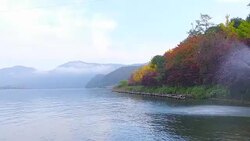Nami Island in autumn South Korea Stock Footage