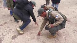 Scientists uncover largest collection of dinosaur footprints ever found Instructional Video