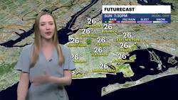 Cold and windy today, tracking a mid-week storm in Brooklyn News Clip