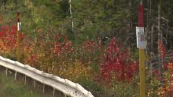 Cadaver dogs fail to find remains of missing Pictou County children News Clip