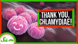 Thank Goodness for Chlamydia(e) Instructional Video