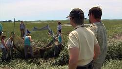 Plum Island Estuary Studying how marshes respond to sea-level rise Instructional Video