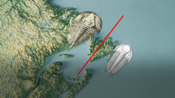 Are All Oceans Basically Reincarnated? Instructional Video