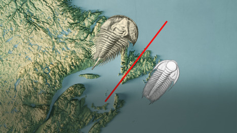 Are All Oceans Basically Reincarnated?