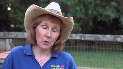 How to Feed a Guinea Pig Instructional Video