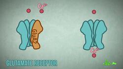 Chemical Earmuffs: The Future of Hearing Protection? | SciShow News Instructional Video