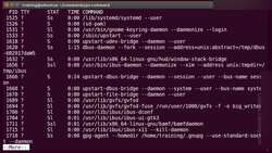 Bash Shell Scripting - Viewing the Running Processes (ps Command) Instructional Video