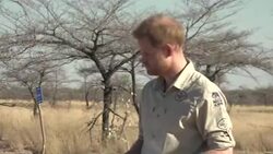 Prince Harry making a speech on landmine clearance in Angola News Clip