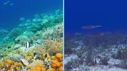 Water Homes Instructional Video