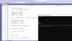 C++ Developer - The Vector Class Instructional Video