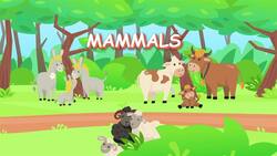 I WONDER - Are There Any Mammals That Lay Eggs? Instructional Video