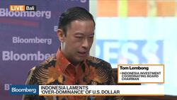 There Is Too Much of a Burden on the U.S. Dollar, Says Indonesia Investment Coordinating Board News Clip
