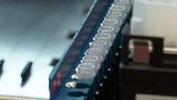 Tray of test tubes News Clip