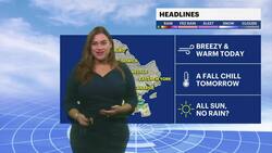 A dry and cool stretch in Brooklyn News Clip