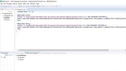 Complete SAS Programming Guide - Learn SAS and Become a Data Ninja - Data Audit Instructional Video
