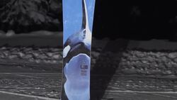 Lib Tech Orca - TransWorld SNOWboarding Powder Board Reviews 2018-2019 Instructional Video