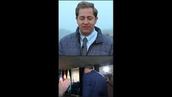 Progressive Conservatives end decade of Liberal rule in N.L. News Clip