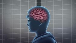 Chinese classrooms using brain-scanning headbands to measure students’ focus Instructional Video