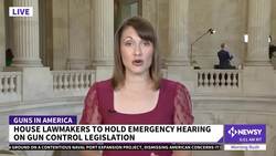 Families Affected By Gun Violence Testify Before House Committee News Clip