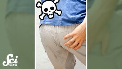 When you sit for so long your butt hurts #shorts #science #SciShow Instructional Video