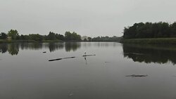 Aerial View. Flying over the beautiful autumn River heron above the forest lake on a cloudy day Stock Footage