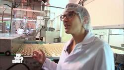 The Science of Snacks: How Appetizers Like Chips and Pretzels are Made Instructional Video