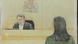 What to expect from Meng Wanzhou's extradition hearing News Clip