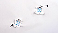 3 Simple Ways to Time Travel (& 3 Complicated Ones) Instructional Video