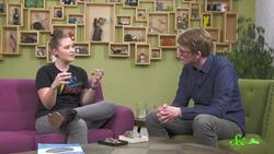 Ammonite Fossils and Sharp Animals w/Kallie from PBS Eons | SciShow Talk Show Instructional Video