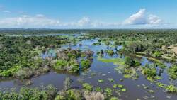 I WONDER - What Animals Live In Tropical Rain Forests? Instructional Video