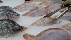 Hand shopping fresh food in supermarket Stock Footage
